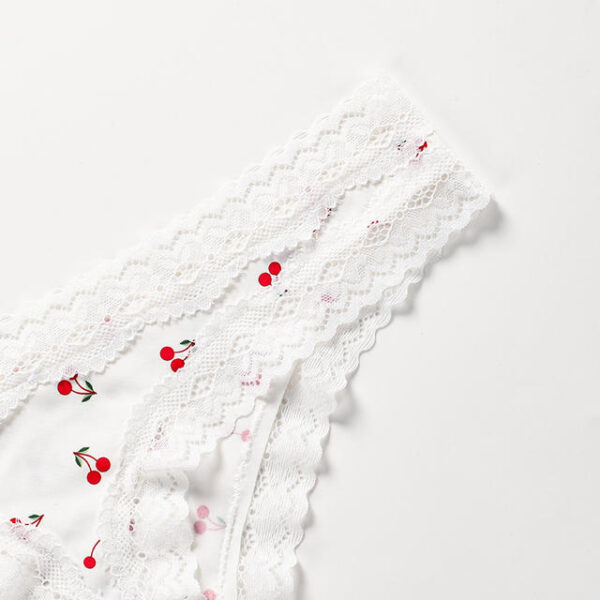 White lace trim with red berry patterns on a white background