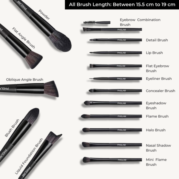 Collection of makeup brushes with labels on a white background